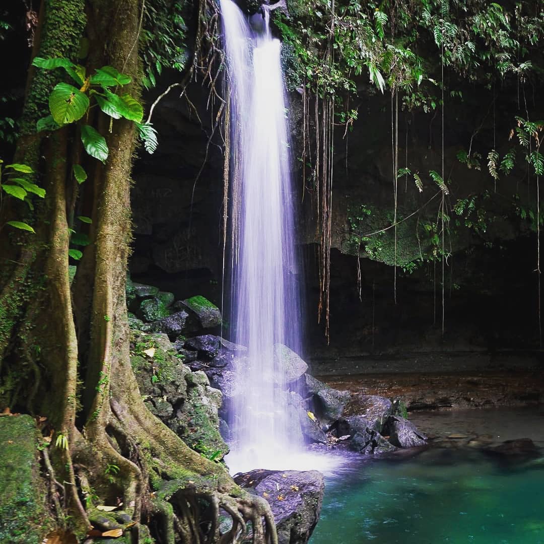 Dominica Water Fall 