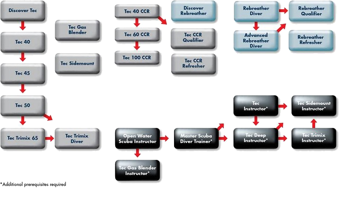 Tec Flowchart 06Mar2012