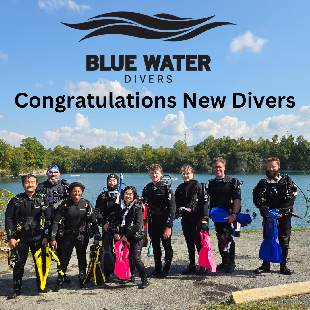 Congratulations%20new%20divers..png