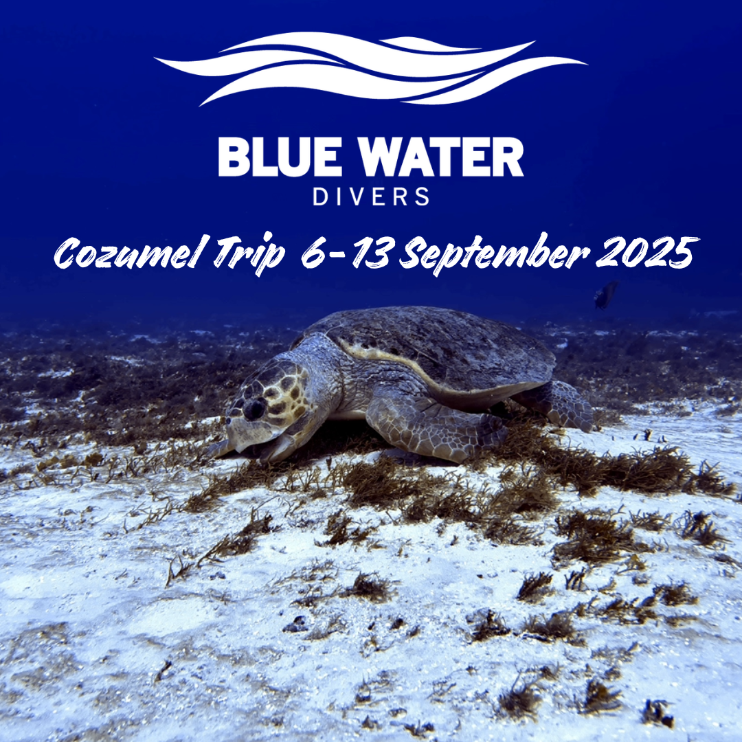 Cozumel%20Trip%20September%20%202025.png