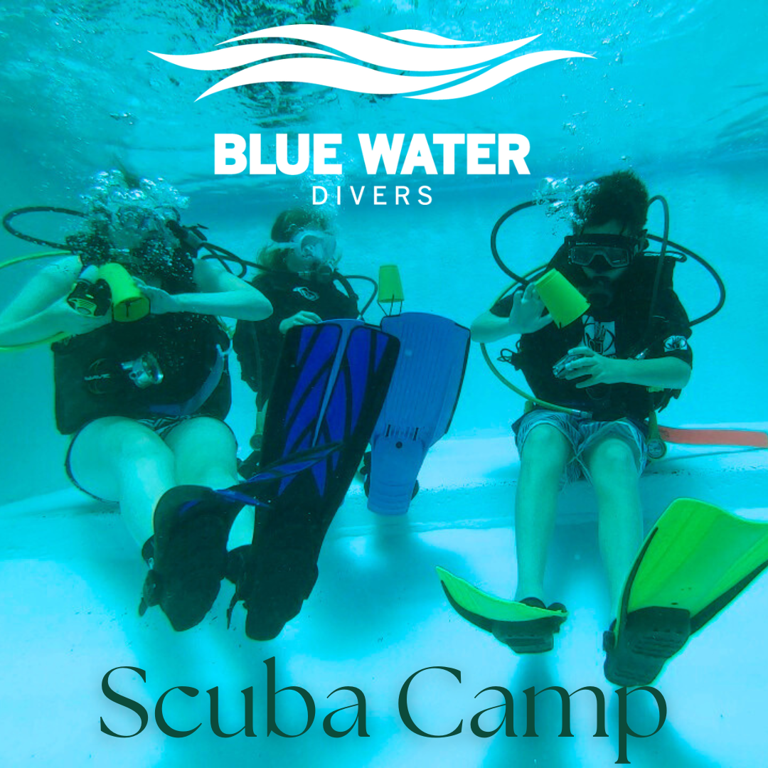 Welcome to Blue Water Divers