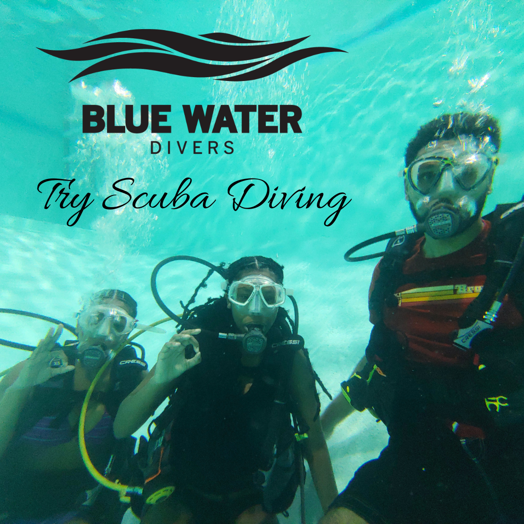 Try Scuba Diving With Bwd