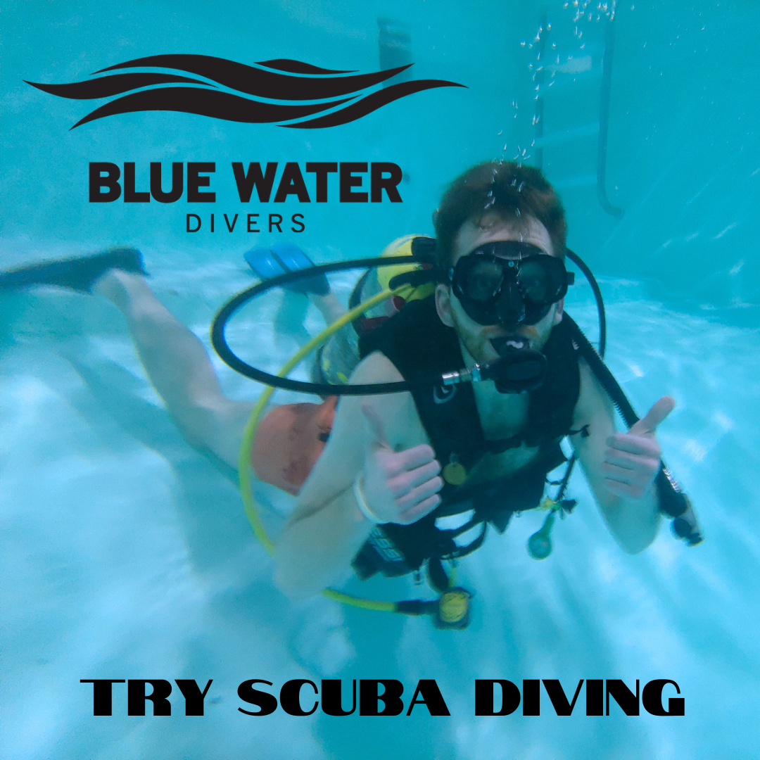 Try Scuba With Love In The Air...