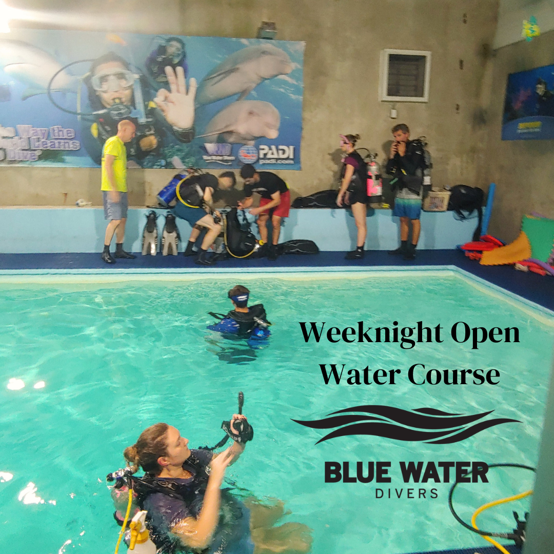 Open Water Divers Weeknight Program
