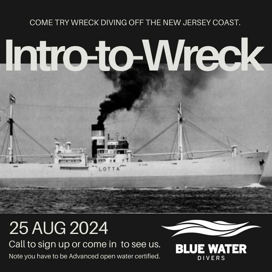 Come Wreck Diving With Us...